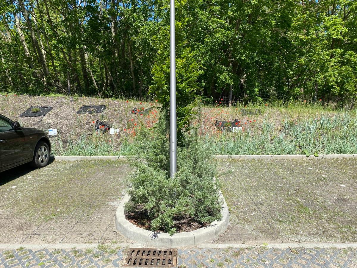 Apartpark Albus1 Swinoujscie Kültér fotó